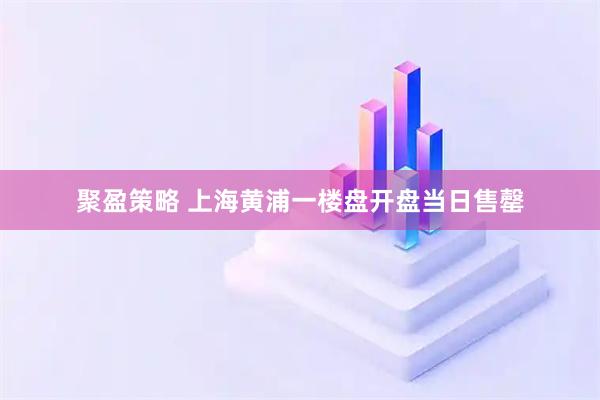 聚盈策略 上海黄浦一楼盘开盘当日售罄