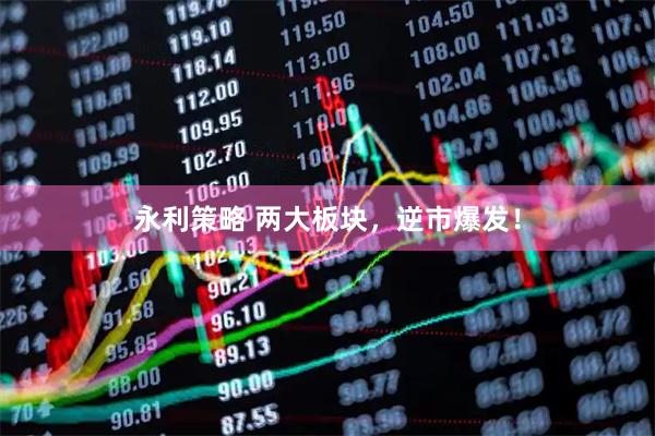 永利策略 两大板块，逆市爆发！