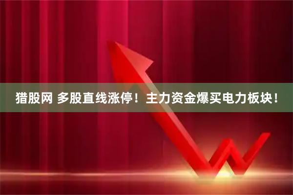 猎股网 多股直线涨停！主力资金爆买电力板块！