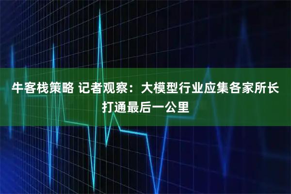 牛客栈策略 记者观察：大模型行业应集各家所长打通最后一公里