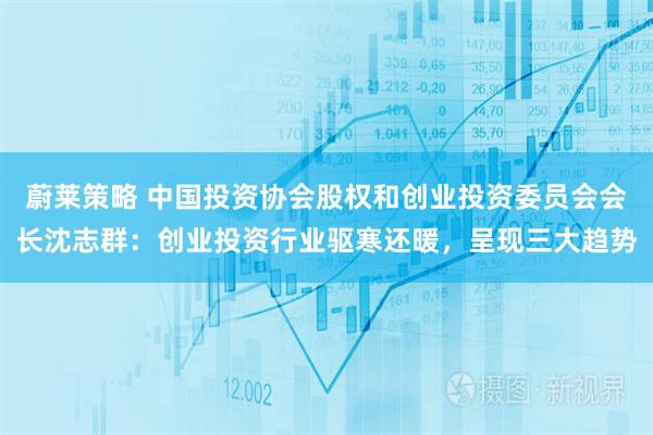 蔚莱策略 中国投资协会股权和创业投资委员会会长沈志群：创业投资行业驱寒还暖，呈现三大趋势