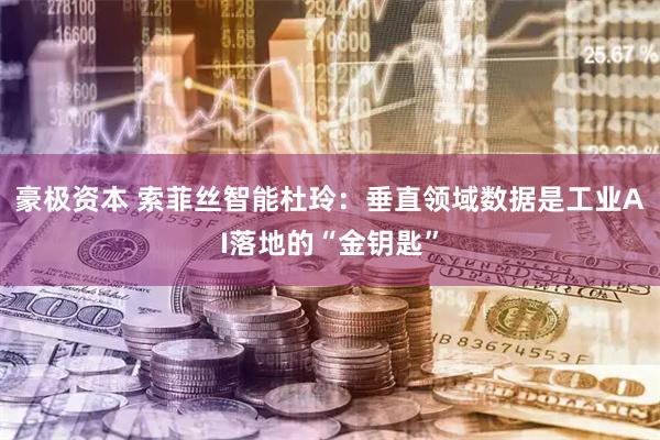 豪极资本 索菲丝智能杜玲:垂直领域数据是工业AI落地的“金钥匙”